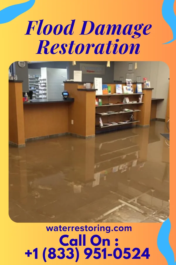 Flood Damage Restoration in Wyeville, WI