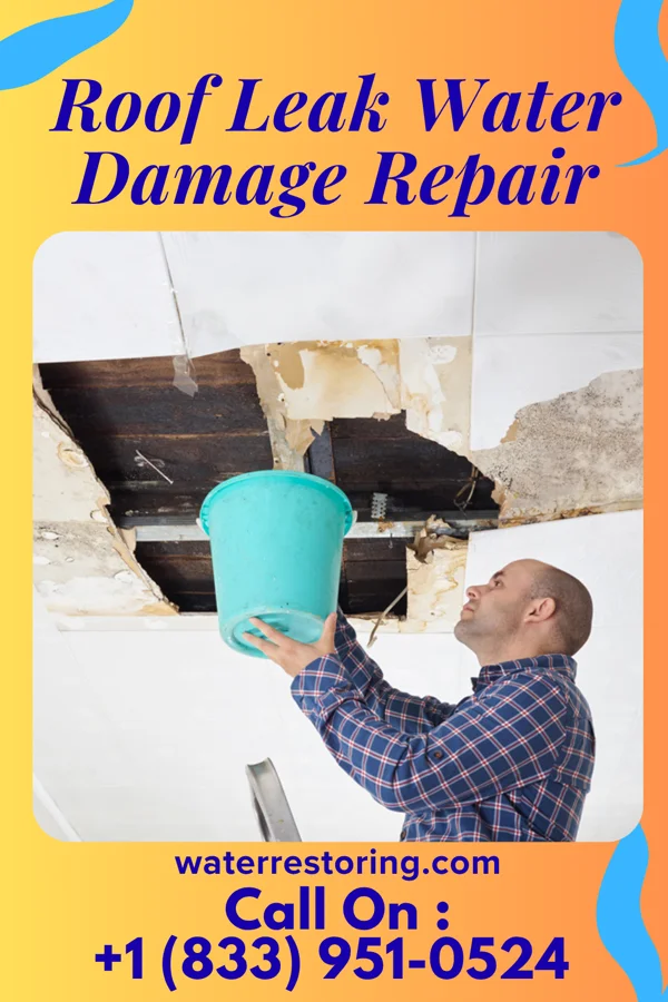 Roof Leak Water Damage Repair in Wyeville, WI