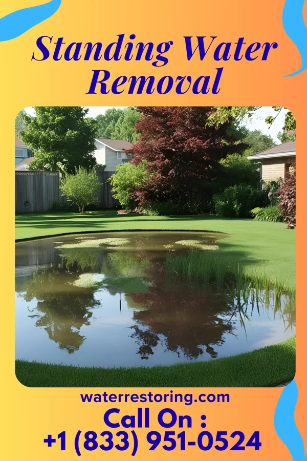 Standing Water Removal in Wyeville, WI